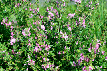 Similar image 20158115