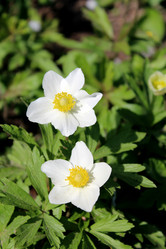 Similar image 20158117