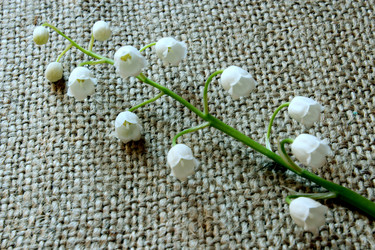 Similar image 20158118