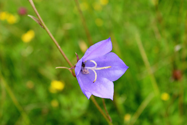 Similar image 20160072