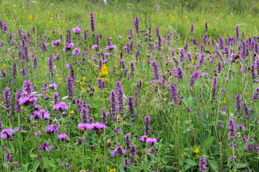 Similar image 20160073