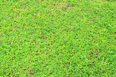 Similar image 20160074