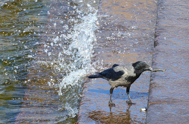 Similar image 20106158