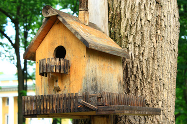 Similar image 20113994