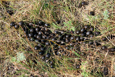 Similar image 20113897