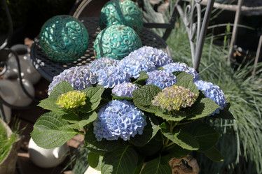 Similar image 20117204