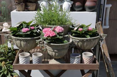 Similar image 20117193