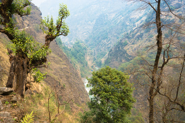 Similar image 20117469