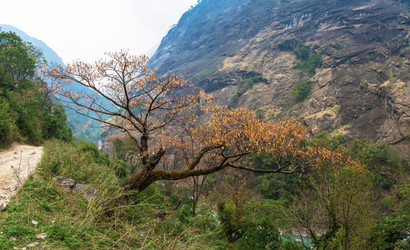 Similar image 20117475