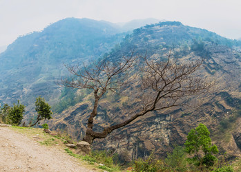 Similar image 20117481