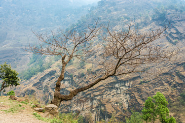 Similar image 20117485