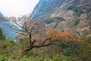 Similar image 20117507