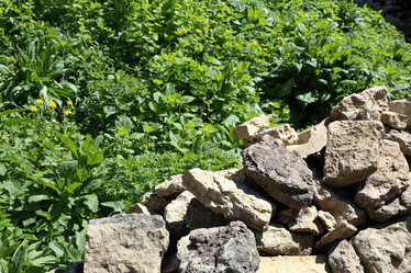 Similar image 20115161