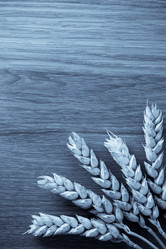 Similar image 20113113