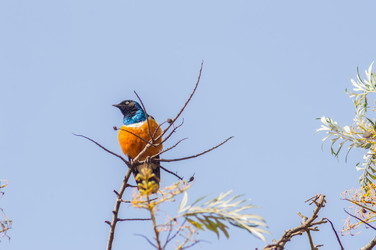 Similar image 20121777