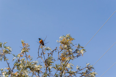 Similar image 20121783