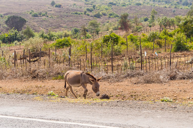 Similar image 20121836