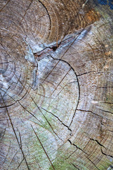 Similar image 20109505