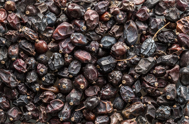 Similar image 20110059