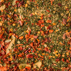 Similar image 20109995