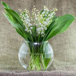 Similar image 20110025