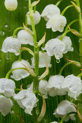 Similar image 20110032