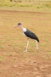 Similar image 20121417