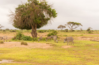 Similar image 20121420