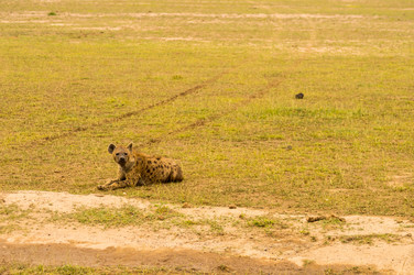 Similar image 20121423