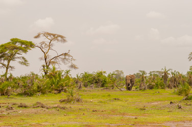 Similar image 20121428