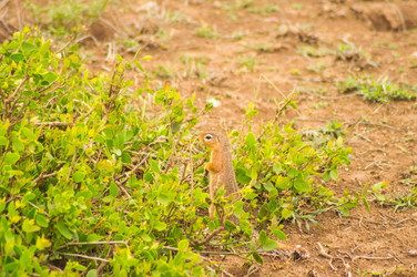 Similar image 20121440