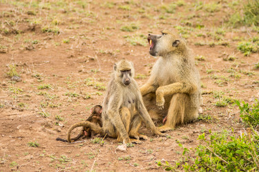 Similar image 20121505