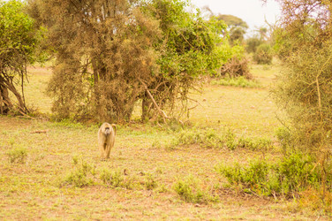 Similar image 20121509