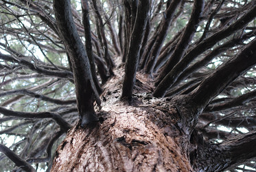 Similar image 20110134