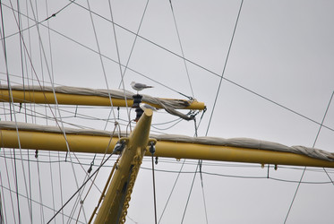 Similar image 20117164