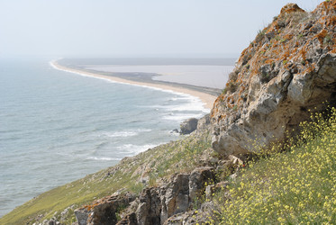 Similar image 20117165