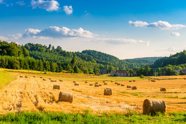 Similar image 20148056