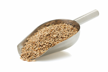 Similar image 20113350