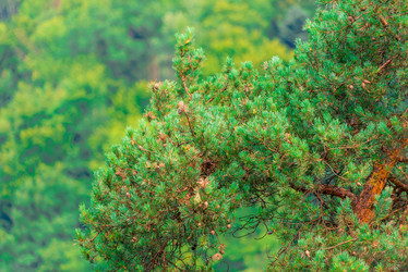 Similar image 20148111