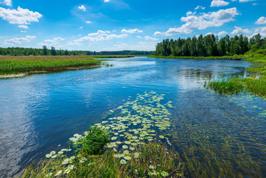 Similar image 20148114