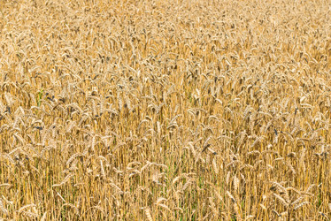 Similar image 20151599