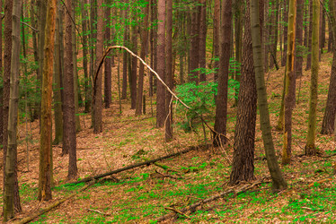 Similar image 20148131