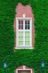 Similar image 20151605