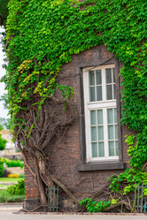 Similar image 20148202