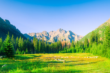 Similar image 20148258