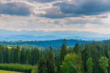 Similar image 20148272