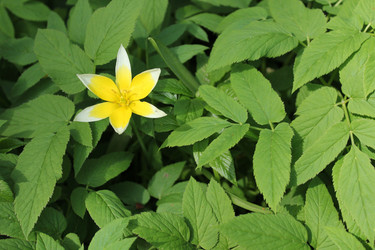 Similar image 20113463