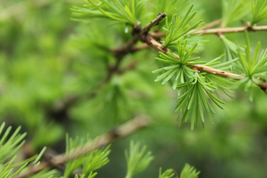 Similar image 20113465