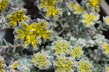 Similar image 20113467