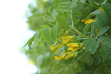 Similar image 20113486